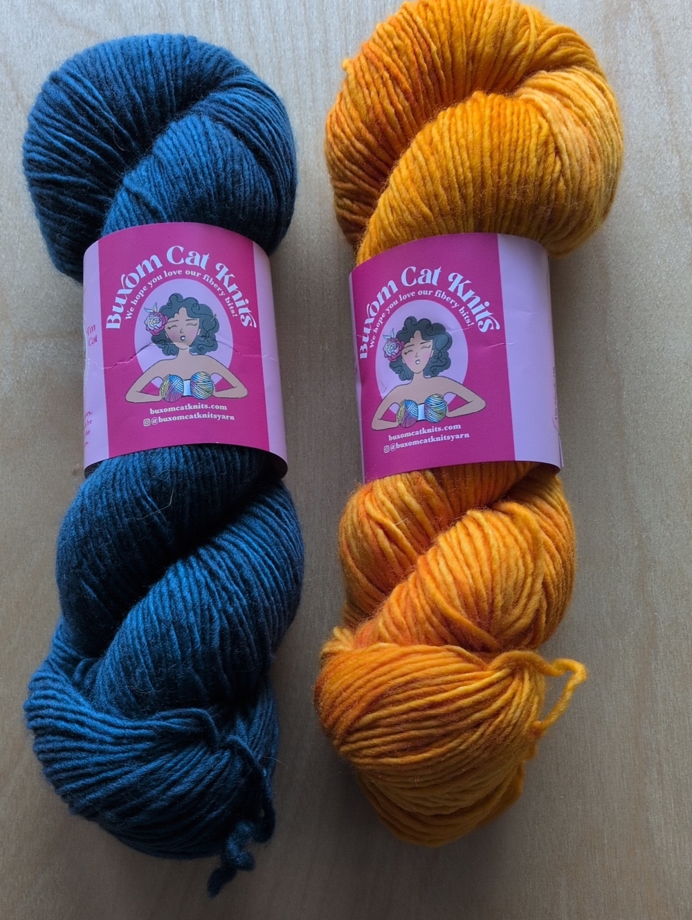 Buxom Cat Knits 2  Skeins Lot Of Hand-Dyed Yarn - DK Yarn -Dana's Destash